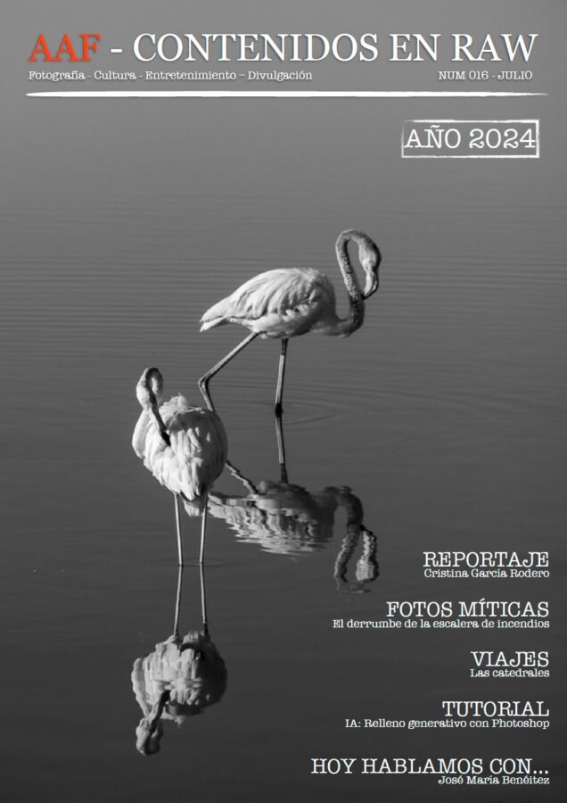 Revista 016-Julio 2024