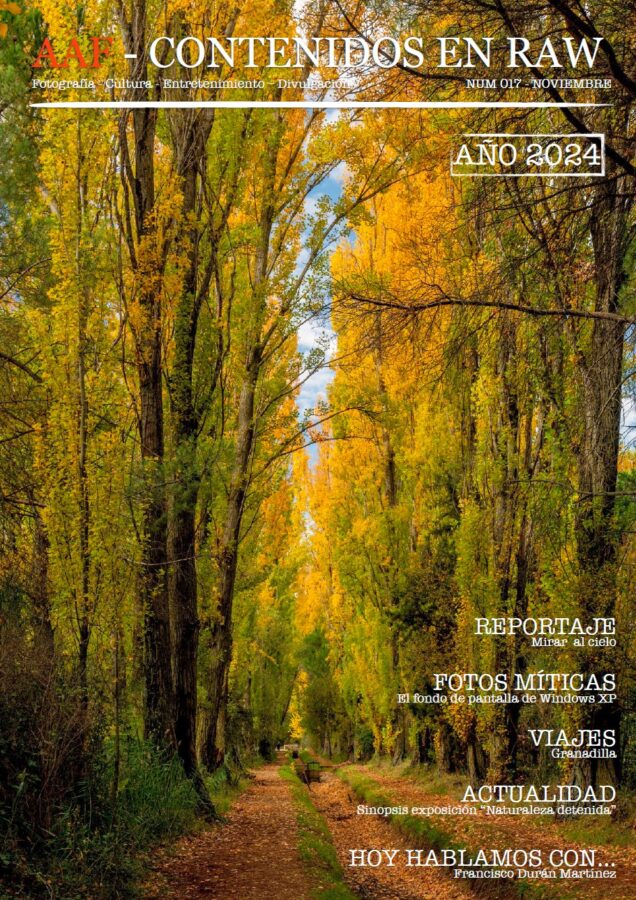 Revista 017-Noviembre 2024