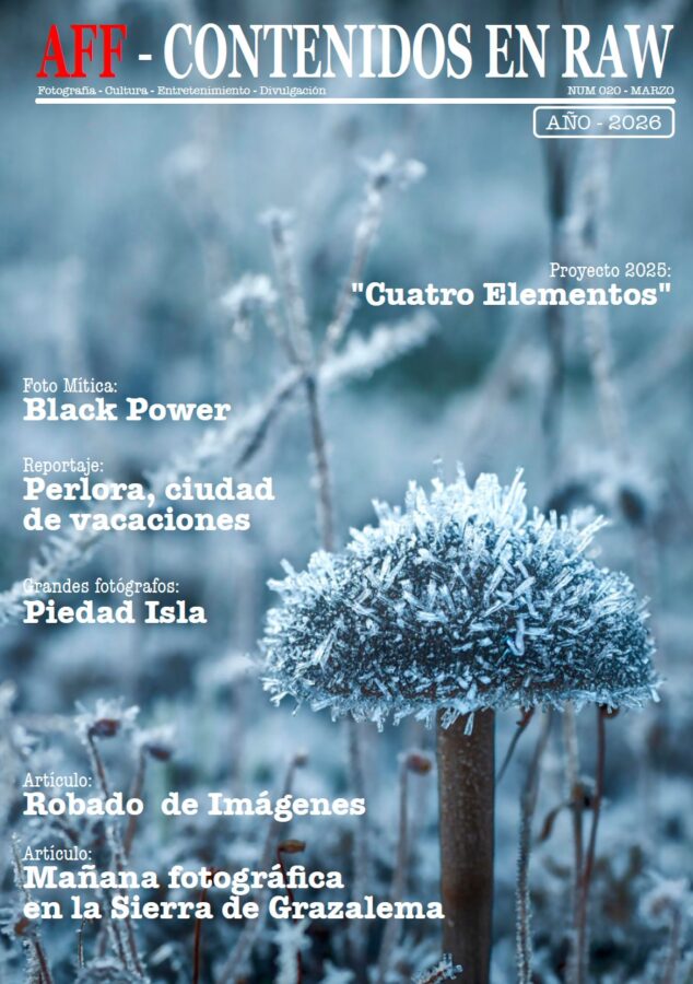 Revista 020-Marzo 2026